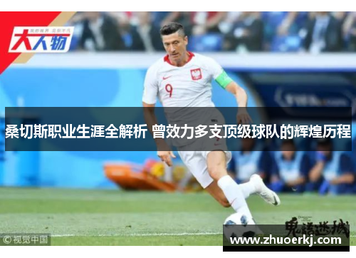 桑切斯职业生涯全解析 曾效力多支顶级球队的辉煌历程
